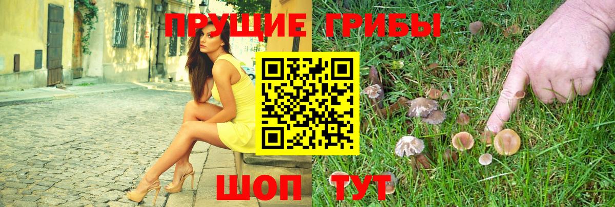 Карачаевск  Галлюциногенные грибы ЛСД  купить закладку  Вход с VPN 