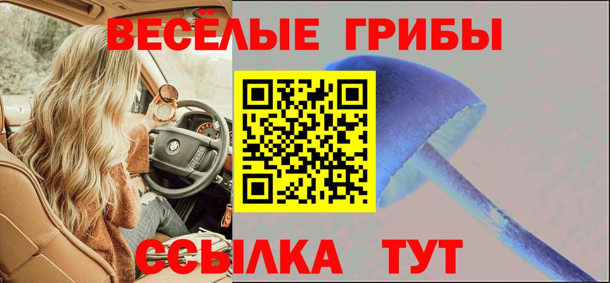 Псилоцибиновые грибы ЛСД Карачаевск
