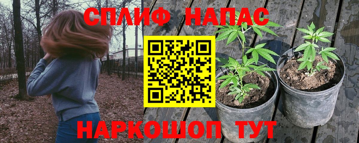 Шишки марихуана марихуана  Конопля Ganja  Вход с VPN  Карачаевск 