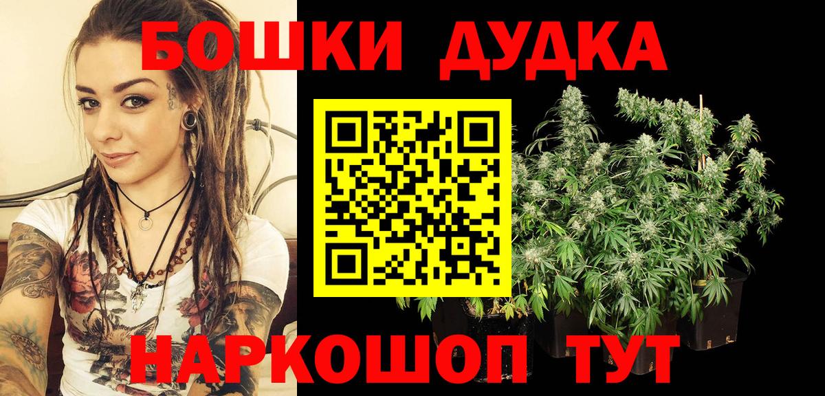 Бошки марихуана VHQ Карачаевск